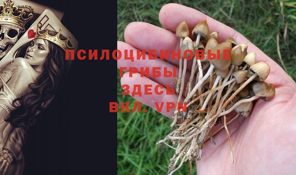бутират Абаза