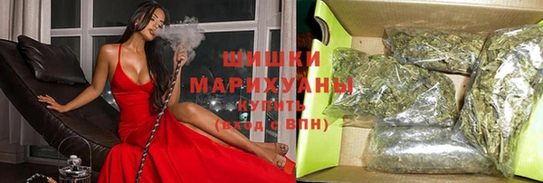 индика Абдулино